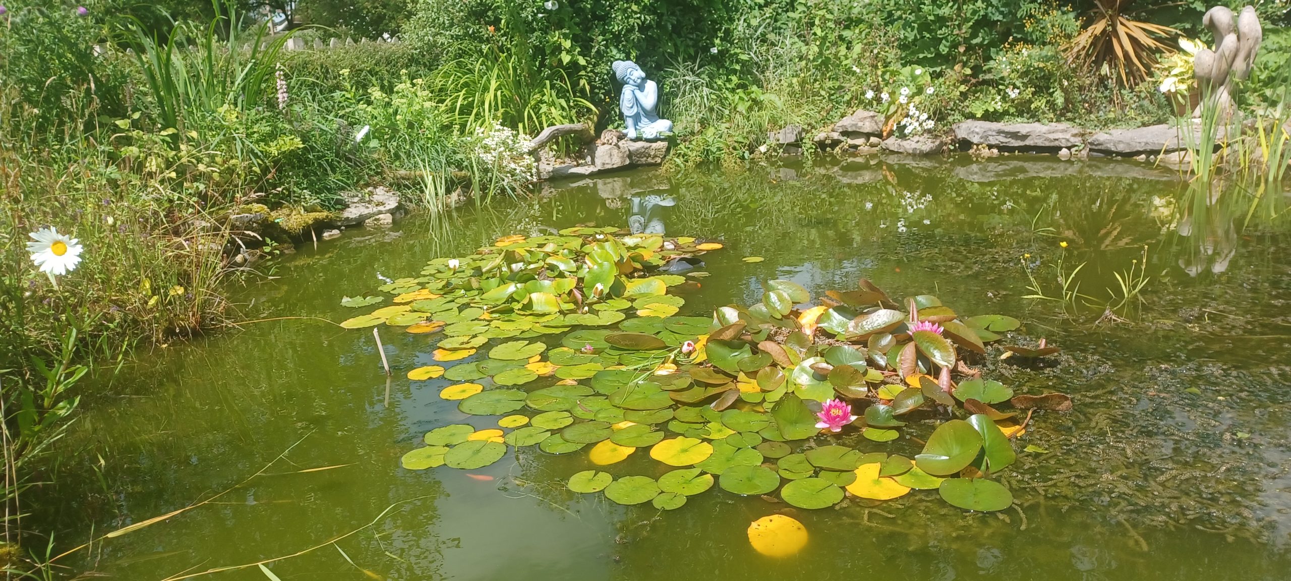 Meditating with water