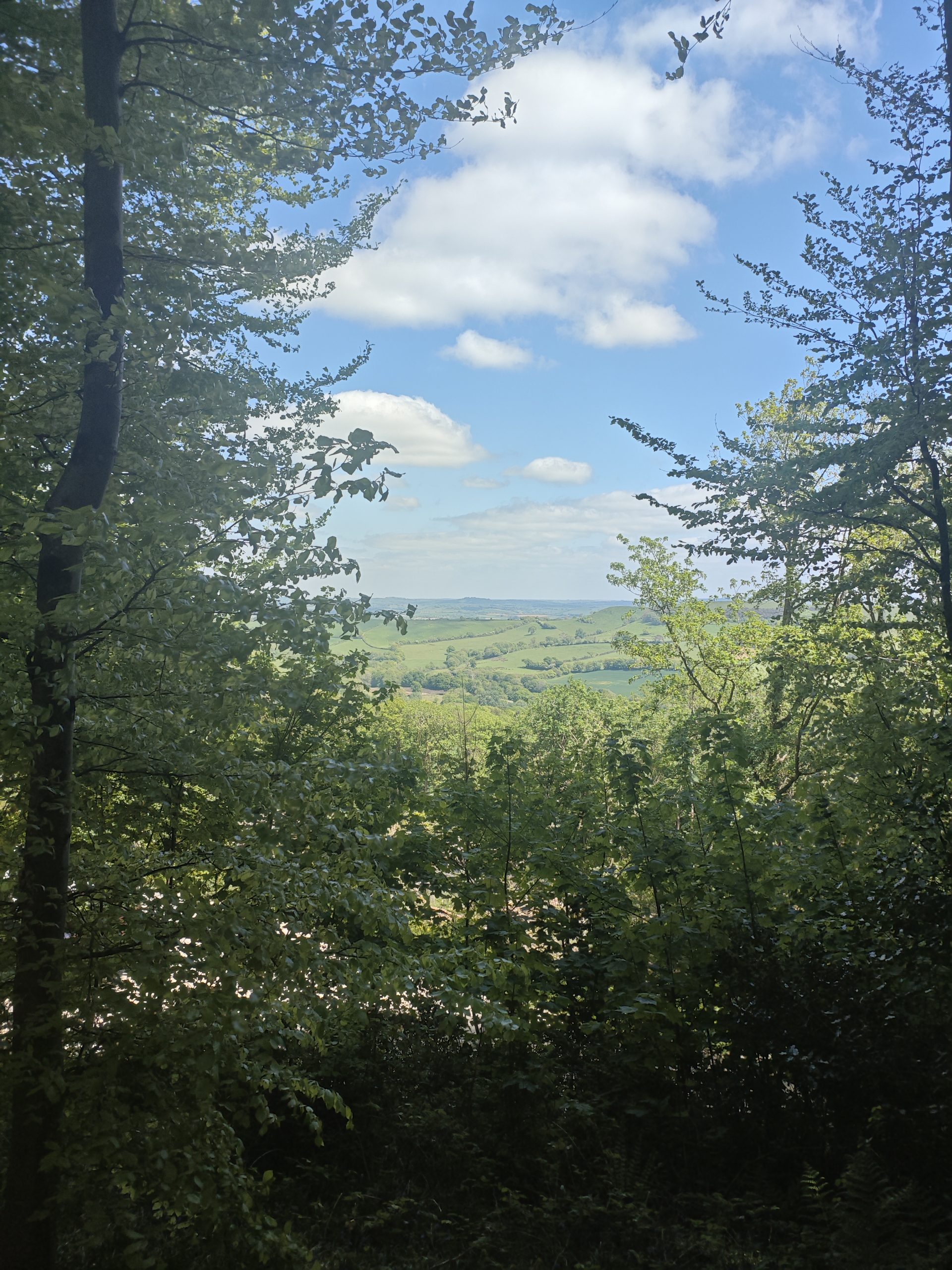 Quiet reflective moment in nature, representing listening to inner guidance.